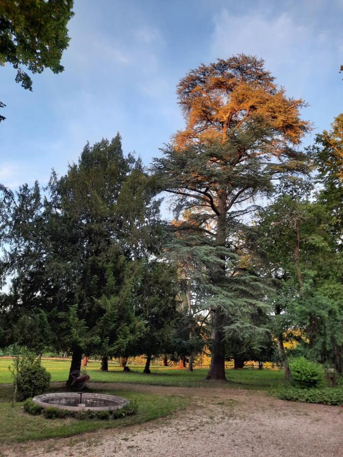 Gite De Charme A 15Mn De Bordeaux Autonomie 100% Camblanes-et-Meynac エクステリア 写真